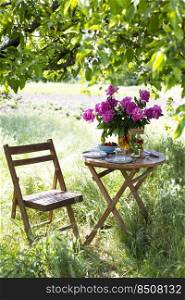 garden and tea party at the country style. still life - cups, dishes and a vase with pink peonies 
