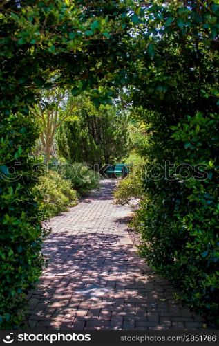 Garden Arch leading throught into a botanical wonderland