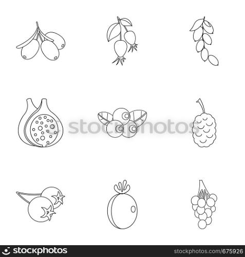 Garden berries icon set. Outline set of 9 garden berries vector icons for web isolated on white background. Garden berries icon set, outline style