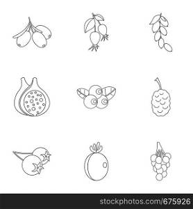 Garden berries icon set. Outline set of 9 garden berries vector icons for web isolated on white background. Garden berries icon set, outline style