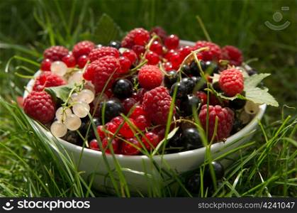 Garden berries in a white bowl