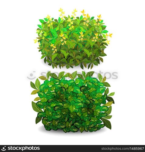 Garden bush. Green garden vegetation bushes icons. Ornamental plant shrub to decorate park, landscape, garden or a green fence. Thick thickets of shrubs. Foliage for spring and summer card design.