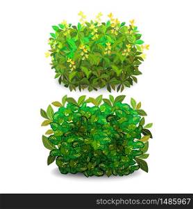 Garden bush. Green garden vegetation bushes icons. Ornamental plant shrub to decorate park, landscape, garden or a green fence. Thick thickets of shrubs. Foliage for spring and summer card design.