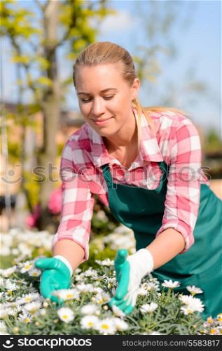 Garden center woman worker caring for potted daisy flowers sunny