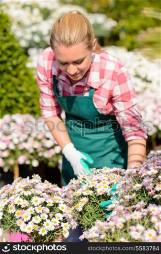 Garden center woman worker checking daisy flowerbed potted plants sunny