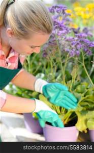 Garden center woman worker planting purple potted flowers