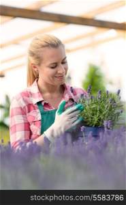 Garden center woman worker with lavender potted flowers flowerbed greenhouse