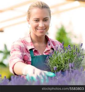 Garden center woman worker with lavender potted flowers flowerbed greenhouse