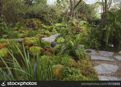 Garden decoration in Thailand with thousands of local Fern and mos