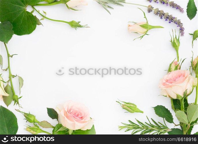 Garden fresh flowers and leaves flat lay frame on white background. Garden fresh flowers