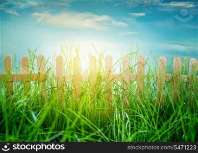 Garden grass and wooden fence on blue sky background