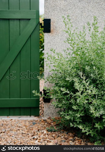 Garden green gate with plant shrub and stone ground. Small country home gardening design