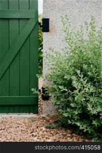 Garden green gate with plant shrub and stone ground. Small country home gardening design
