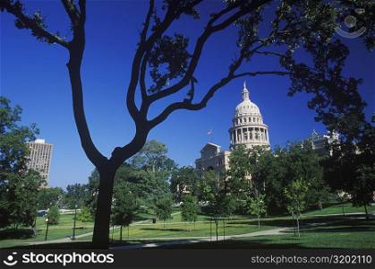 Garden in front of a government building, Texas State Capitol, Texas, USA