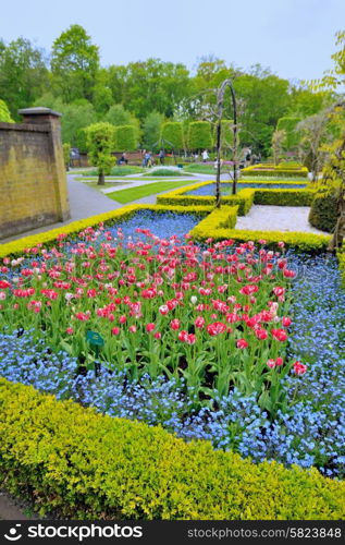 Garden in Keukenhof, tulip flowers and trees on background