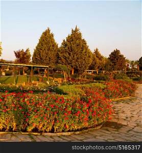 garden in pamukkale turkey trees and flower and the sky