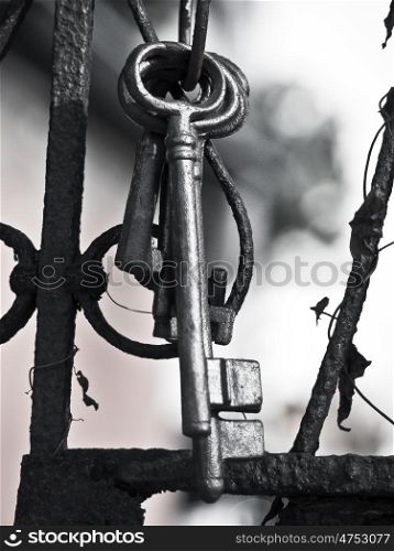Garden Key. Key ring with several keys at a garden gate
