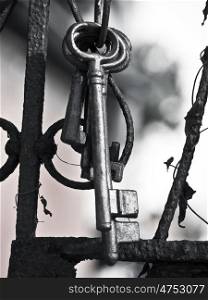 Garden Key. Key ring with several keys at a garden gate