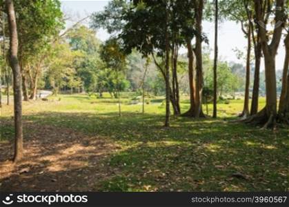 garden landscape of Chaeson natural park, Lampang province, Thailand.