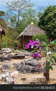 garden on the hill of the island of Phi Phi