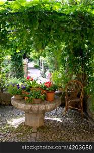 Garden outdoor with flower pots on stone table in Majorca balearic island