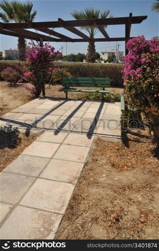 garden park with green bench and bougainvillea flowers in Greece