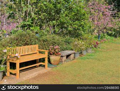Garden scene with bench
