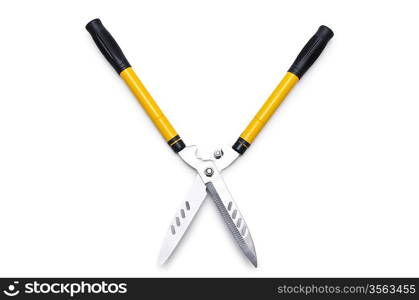 Garden scissors isolated on white