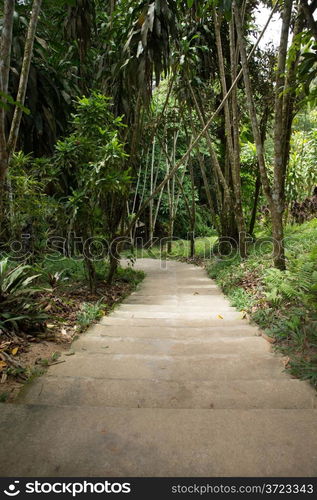 Garden stone path with grass