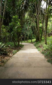 Garden stone path with grass