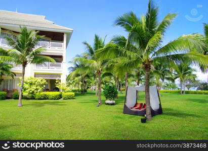 Garden stone path with grass