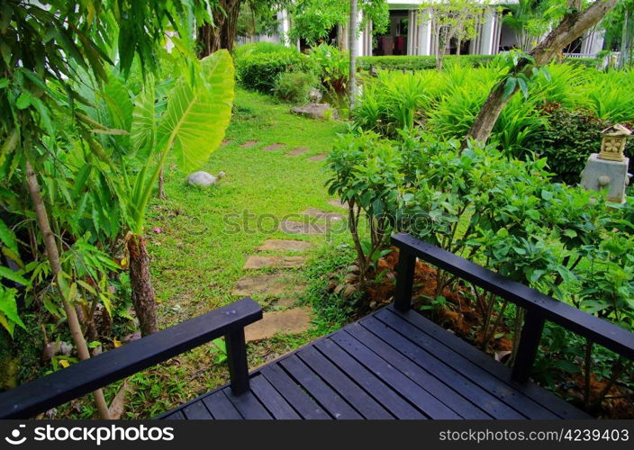 Garden stone path with grass