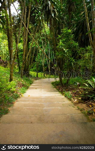 Garden stone path with grass