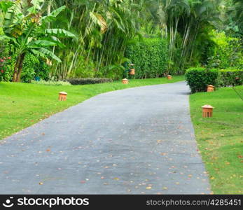 Garden stone path with grass