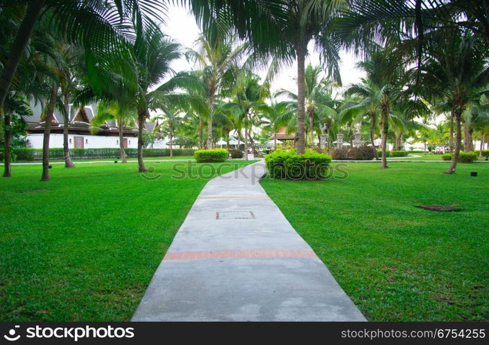 Garden stone path with grass