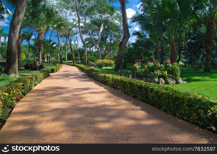 Garden stone path with grass