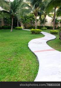 Garden stone path with grass