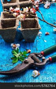 garden tools amid flowering branches spring apricot.Selective focus. garden tools