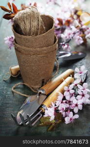 garden tools and spring cherry blossoms on a wooden board