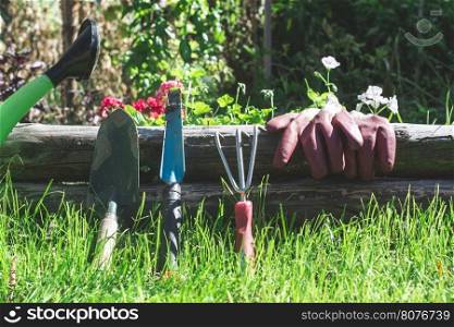 Garden tools on green meadow. Gloves and blades. Bulgaria, Plovdiv
