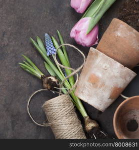 Garden tools on vintage background with space for text - Spring or Gardening Background