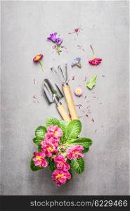 Garden tools with flowers on gray stone concrete background, top view composing