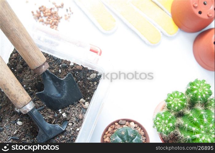 Garden tools with pot of cactus on white background