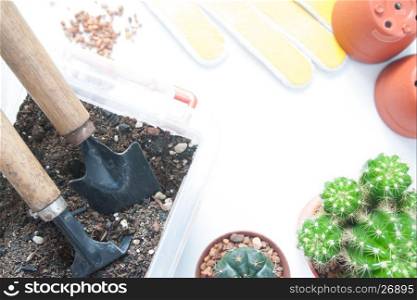 Garden tools with pot of cactus on white background
