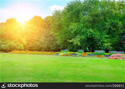 Garden with beautiful flowers and sun. Spring landscape.
