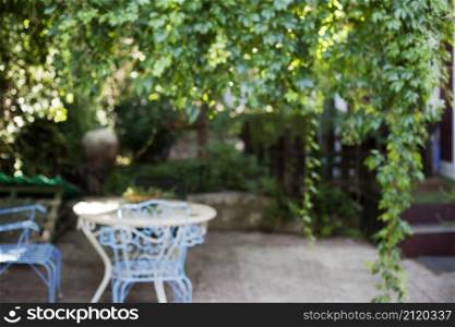 garden with table background