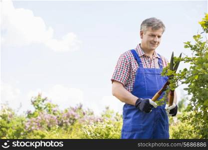 Gardener cutting branches at plant nursery