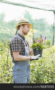 Gardener examining flower pot at greenhouse