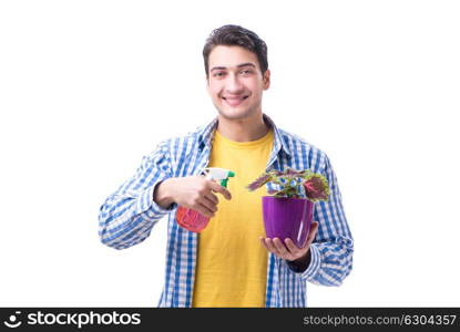 Gardener florist with a flower in a pot isolated on white backgr. Gardener florist with a flower in a pot isolated on white background