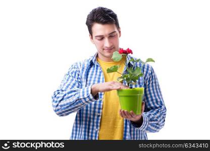 Gardener florist with a flower in a pot isolated on white backgr. Gardener florist with a flower in a pot isolated on white background